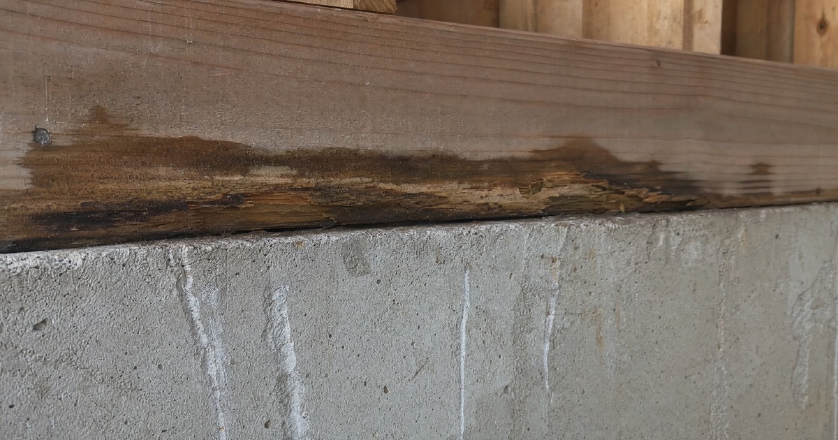 Wood sill plate with visible water staining and soft decayed texture where it meets a concrete foundation wall